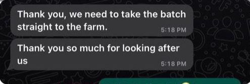 WhatsApp Image 2024-01-12 at 20.18.07_319b34b9 client-image